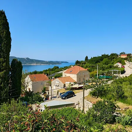 Apartment Summer Chill 2